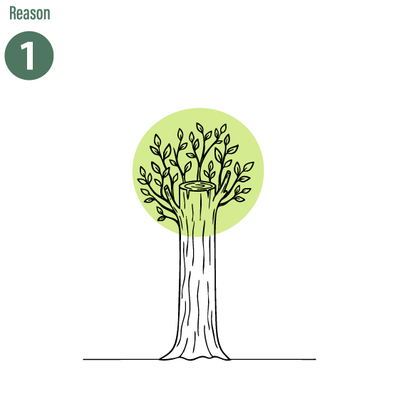 自然再生促進のイラスト