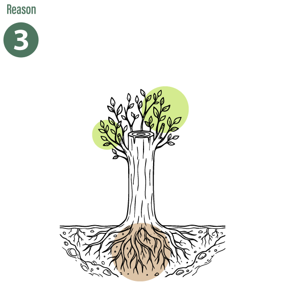 土壌保全のイラスト