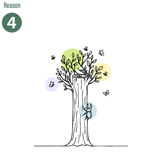 生物多様性維持のイラスト
