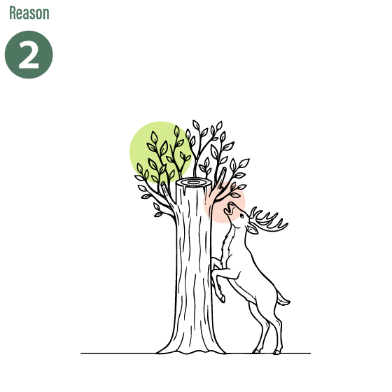 害獣防止のイラスト