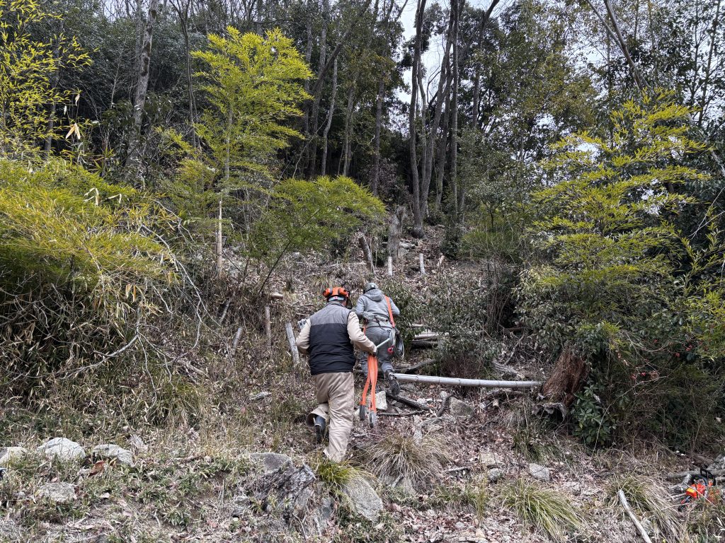 猪名川町:薪ストーブユーザーによる森林整備