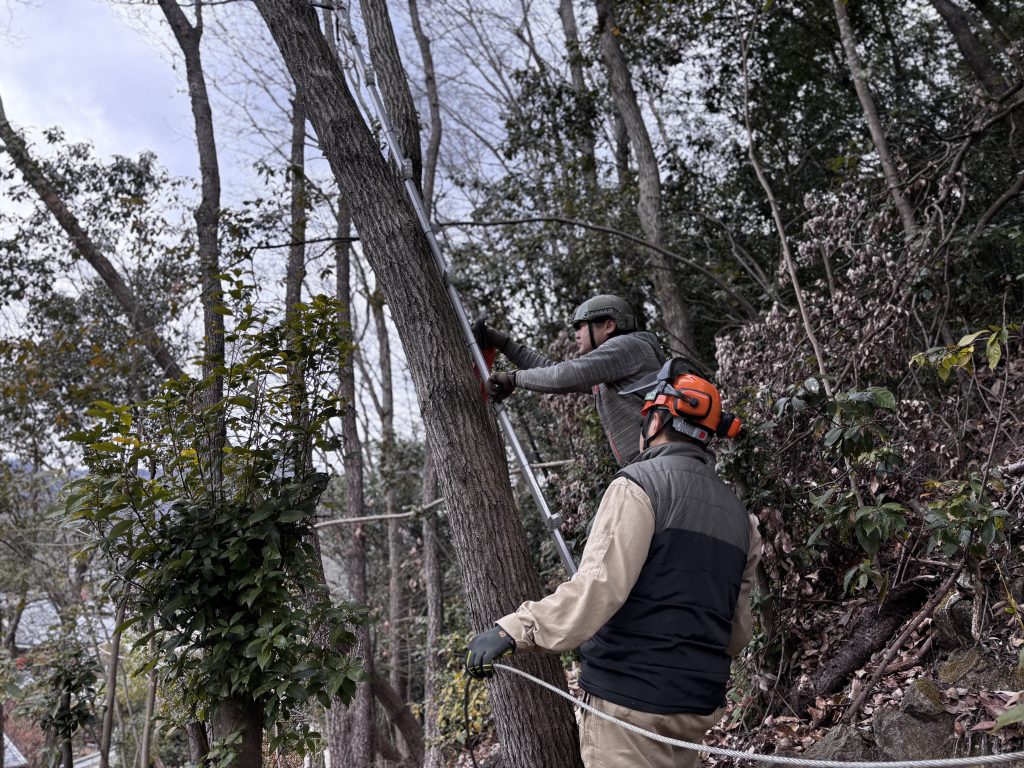 猪名川町の森林整備
