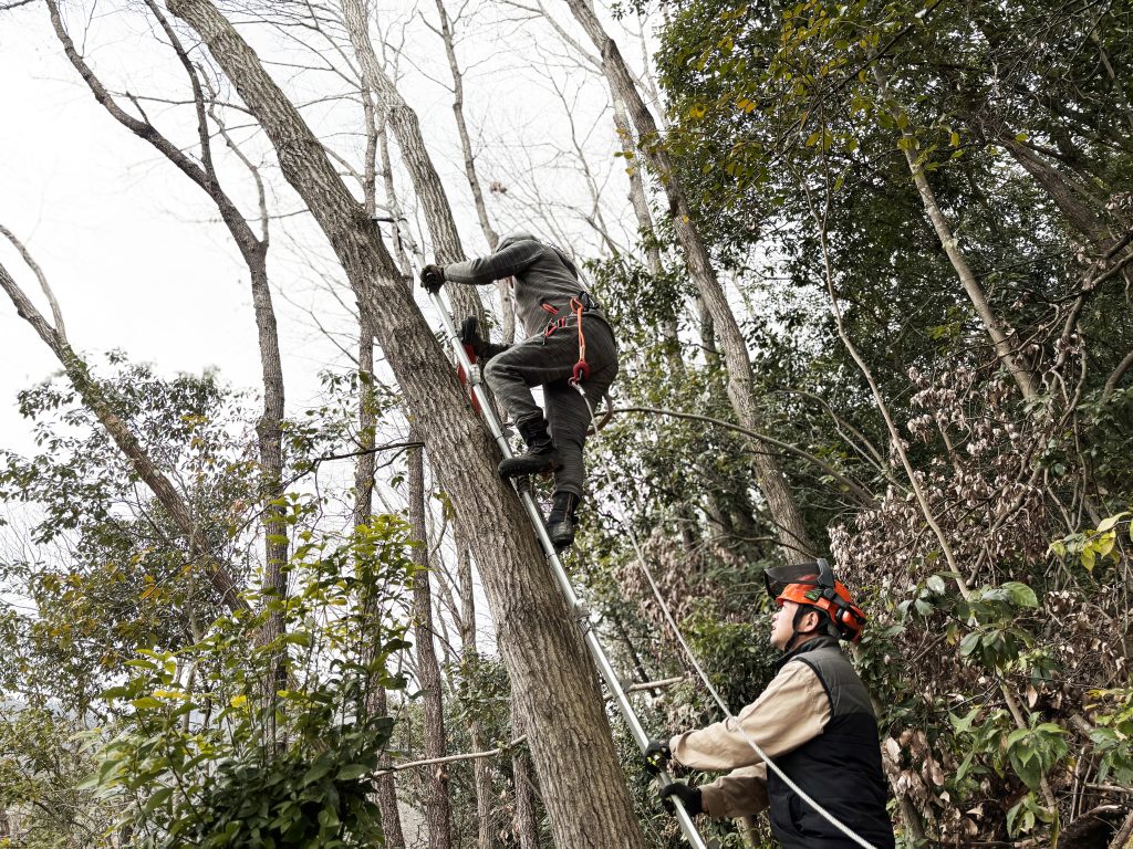 猪名川町:森林整備