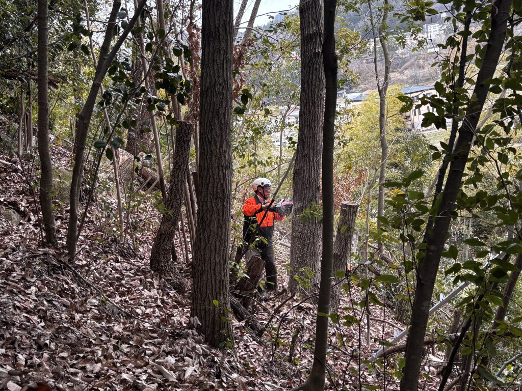 猪名川町NPO法人山存協力パートナーイメージ画像