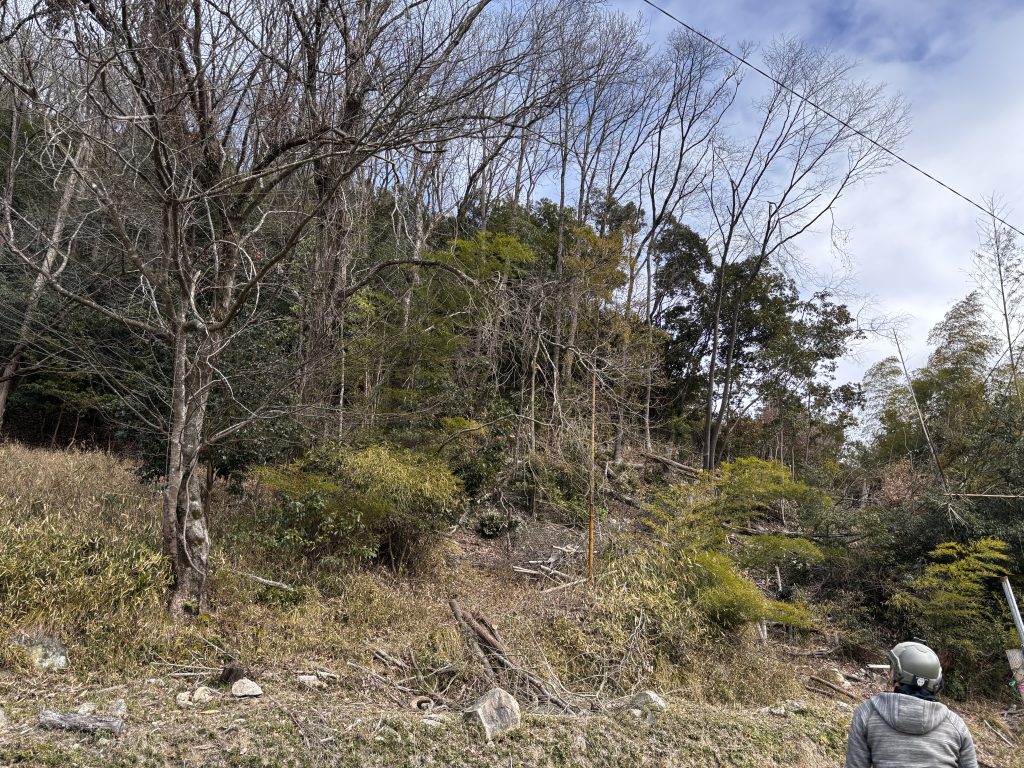 猪名川町:薪ストーブユーザーによる森林整備