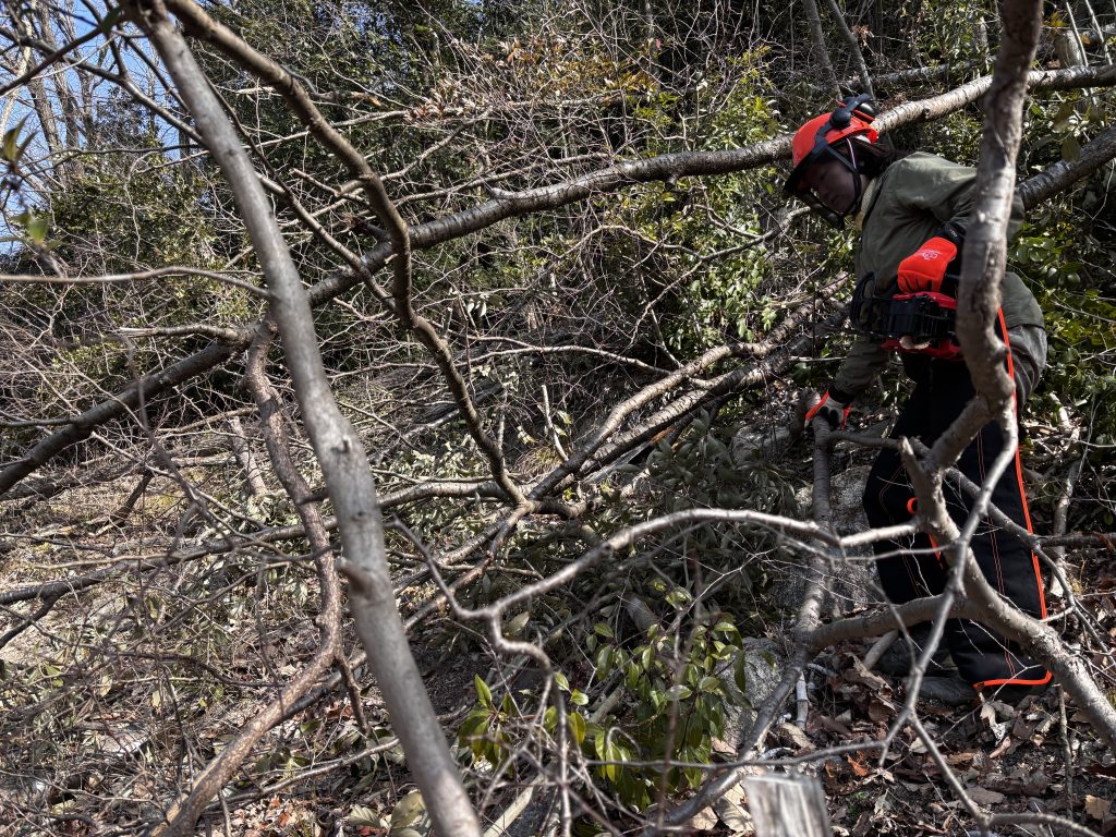 猪名川町:森林整備ボランティア山存
