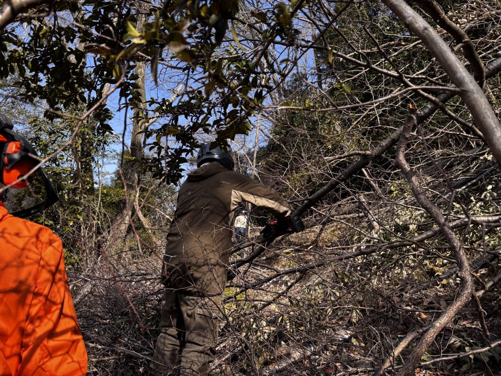 猪名川町:森林整備ボランティア山存