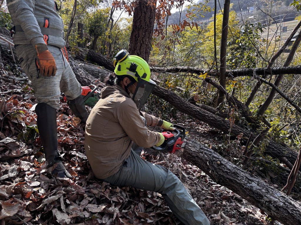 猪名川町:森林整備ボランティア山存