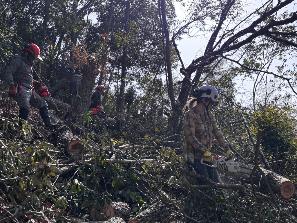 猪名川町:森林整備ボランティア山存