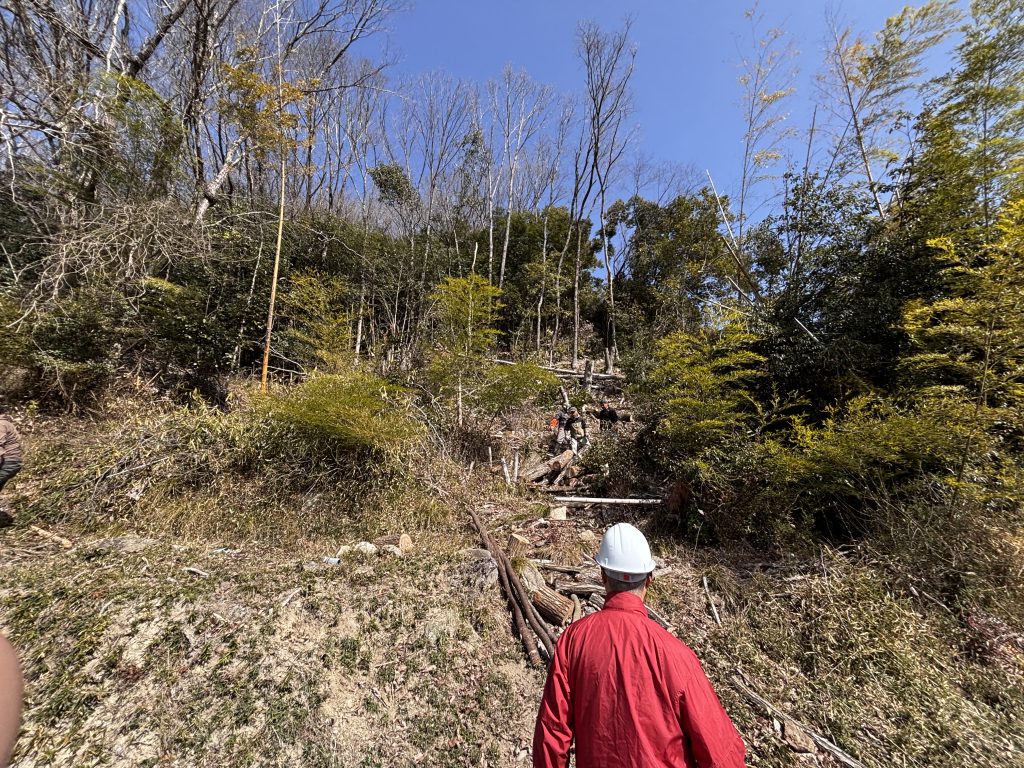 猪名川町:森林整備ボランティア山存