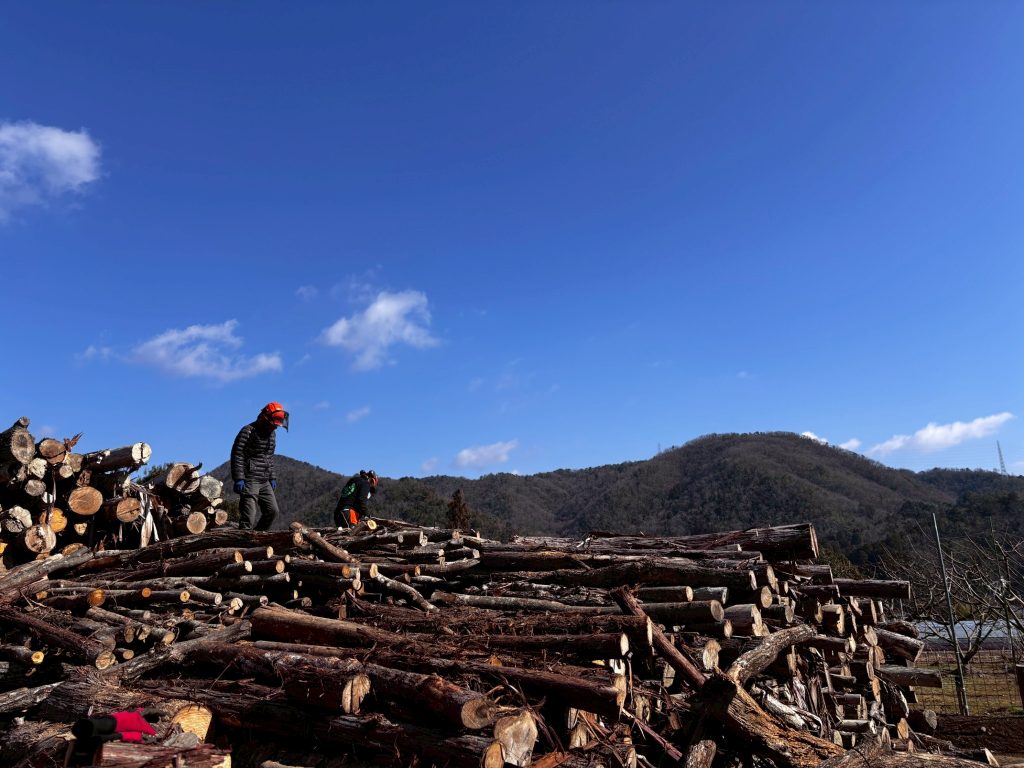 猪名川町森林整備ボランティア