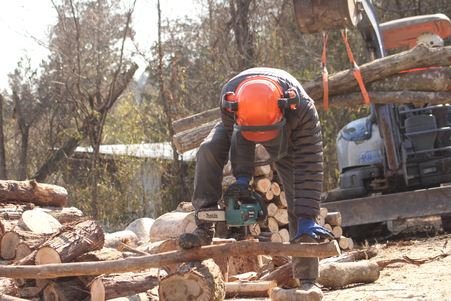 猪名川町薪ストーブユーザーによる森林整備ボランティア｜玉切り