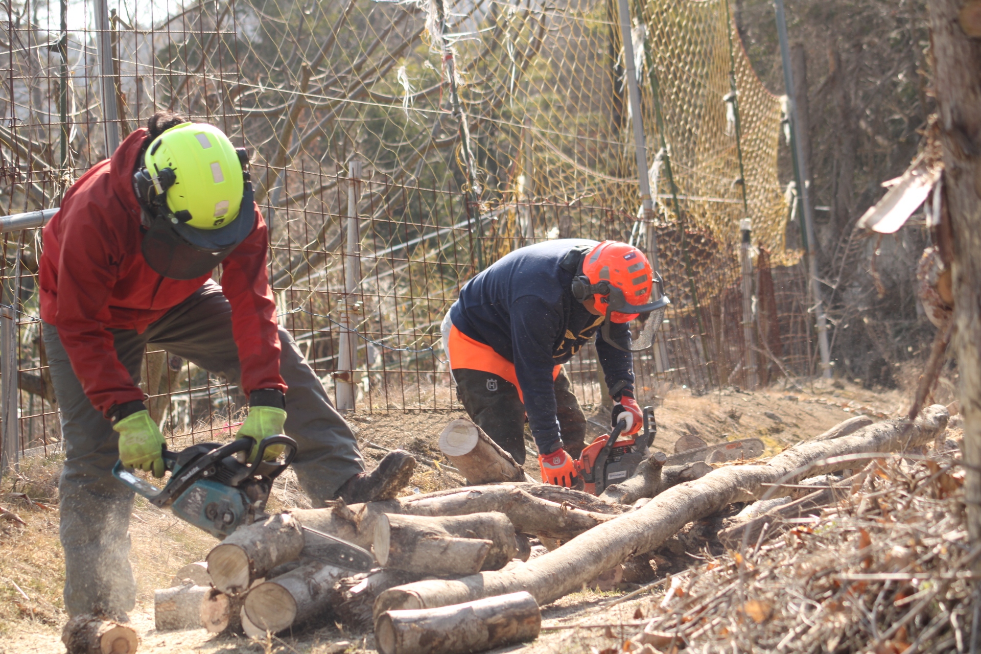 猪名川町薪ストーブユーザーによる森林整備ボランティア｜玉切り