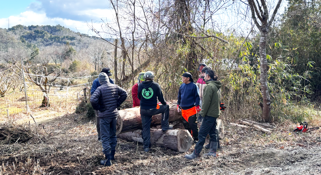 猪名川町NPO法人山存の安全確認イメージ画像