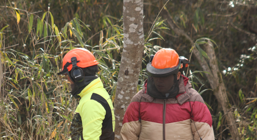 猪名川町NPO法人山存の安全確認イメージ画像