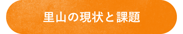 猪名川町：里山の現状と課題ページへのボタン