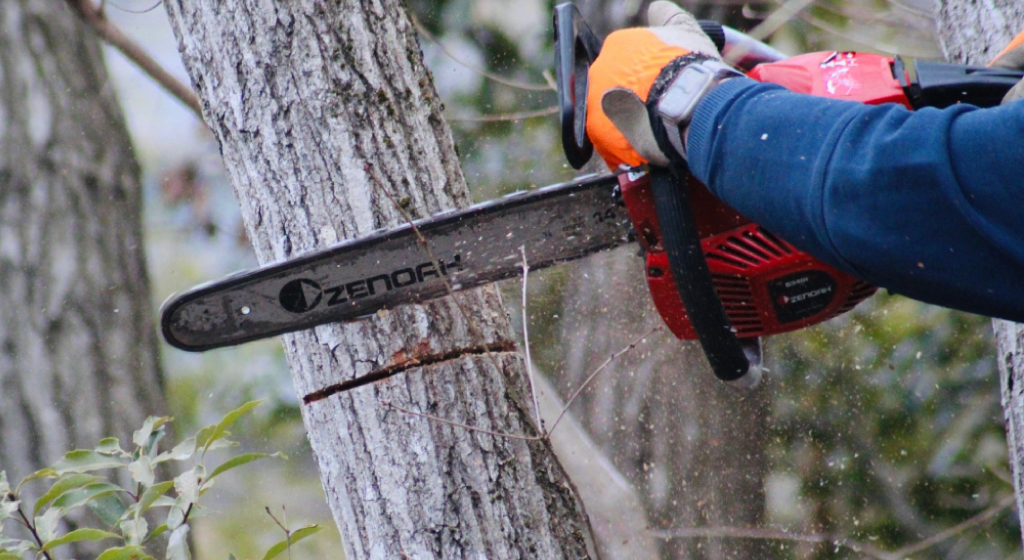 猪名川町NPO法人山存：森林整備イメージ