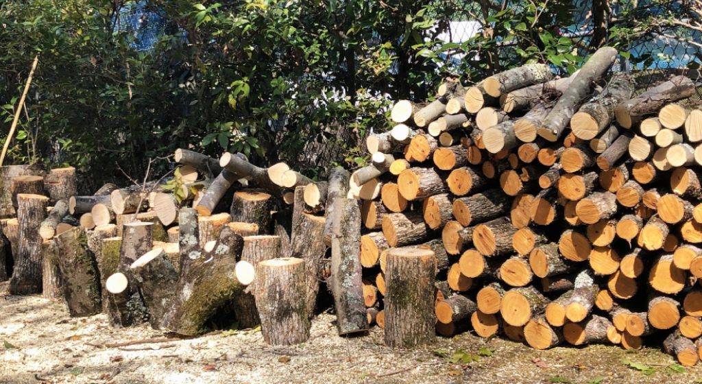 猪名川町NPO法人山存：森林整備イメージ