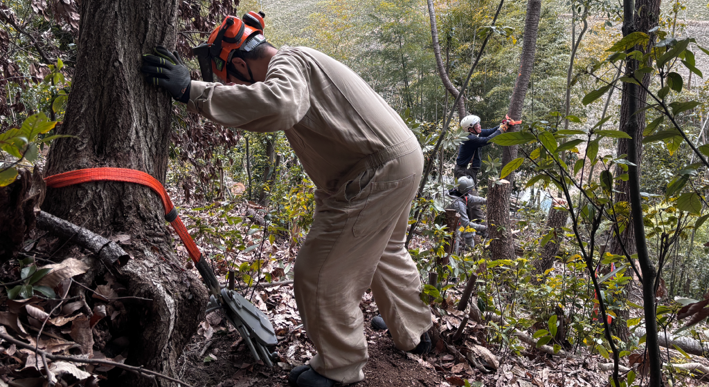 なぜ今猪名川町の木を伐ることが必要？イメージ画像