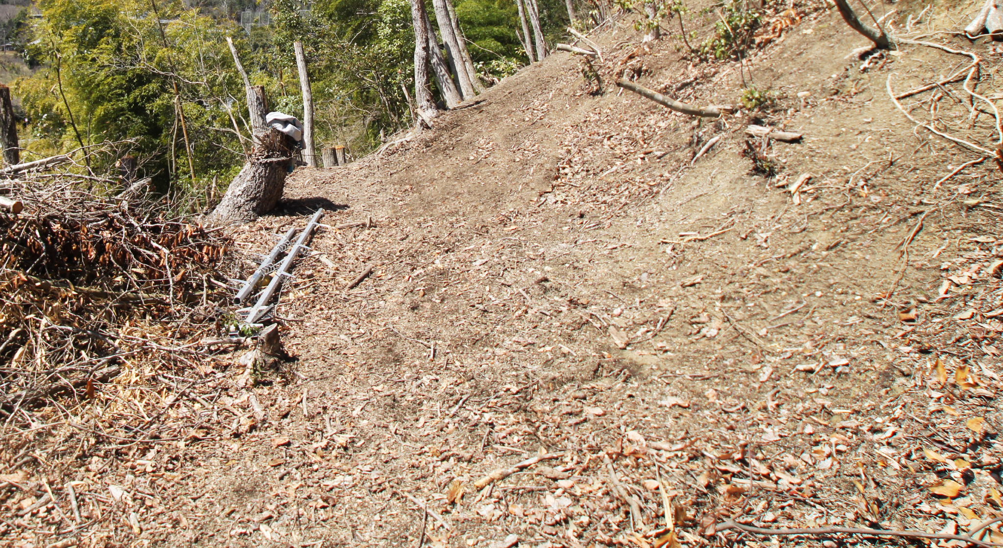 猪名川町の里山の弱っていく土イメージ画像