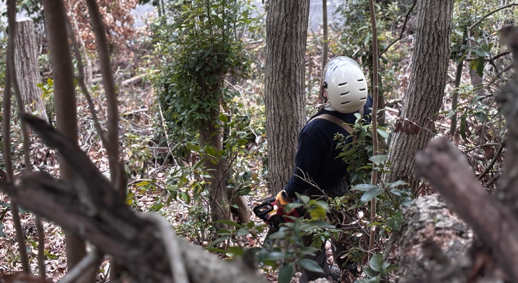 猪名川町：高木伐採のイメージ画像