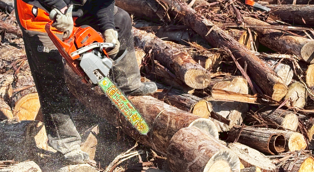 猪名川町の森林整備：楽しむこと。