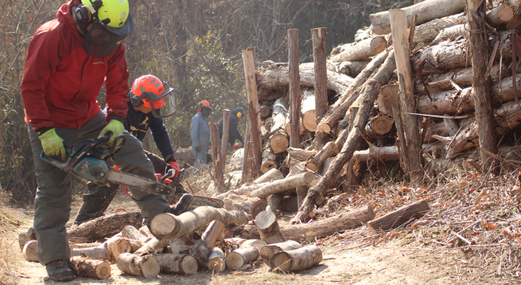 猪名川町森林整備：幅広い世代の仲間による持続可能な活動風景