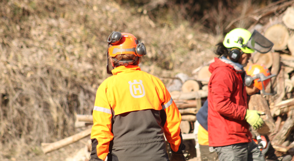 猪名川町森林整備：未来の豊かな森への一歩。