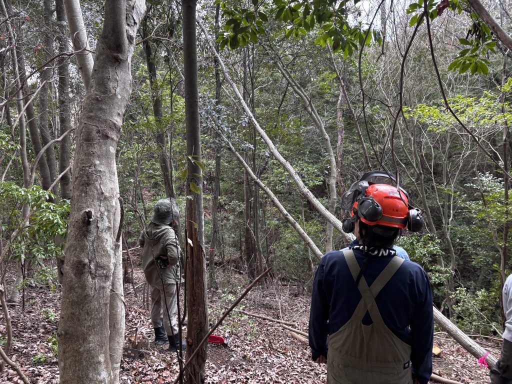 猪名川町主催：里山再生活動人材育成事業参加！