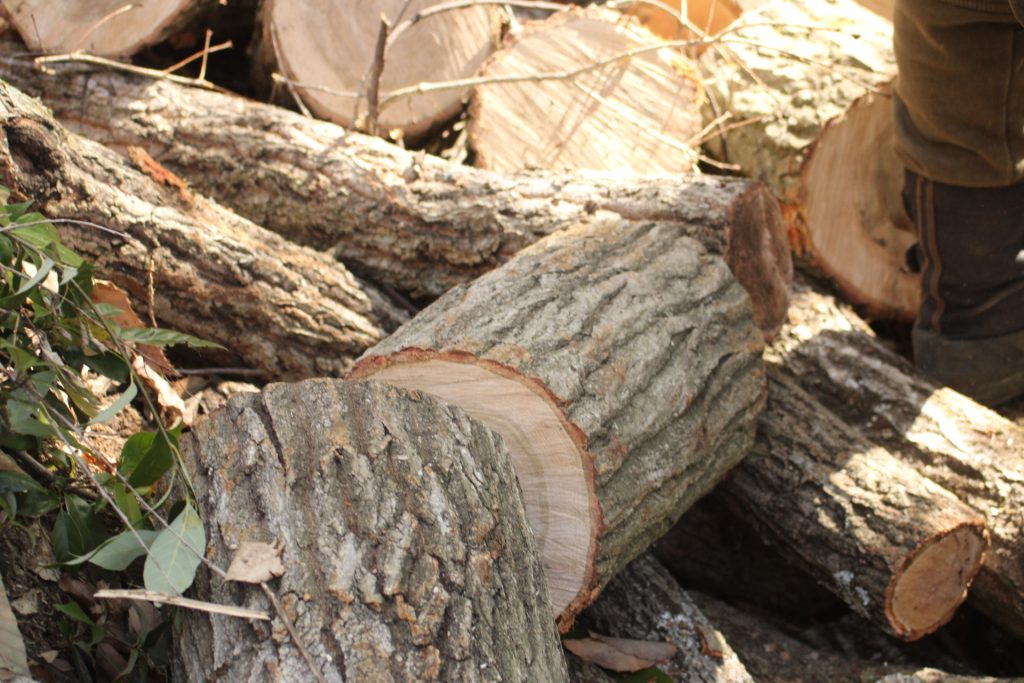 猪名川町：薪ストーブの薪を入手する方法画像