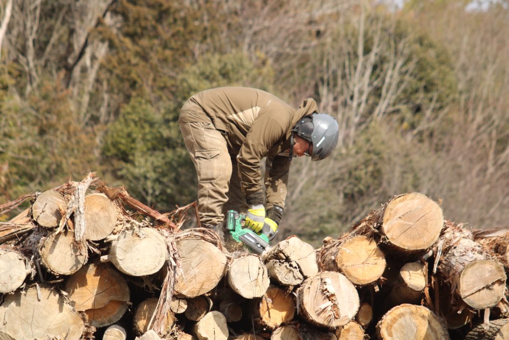 猪名川町北部:薪ストーブユーザーによる森林整備活動報告