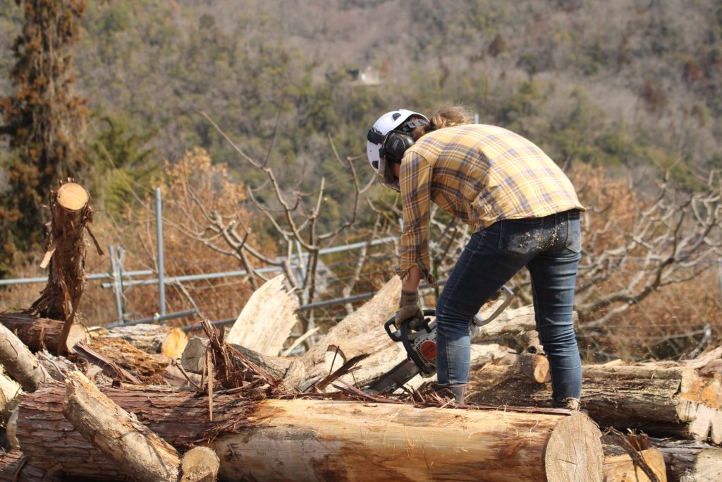 猪名川町：薪ストーブユーザーによる森林整備作業風景