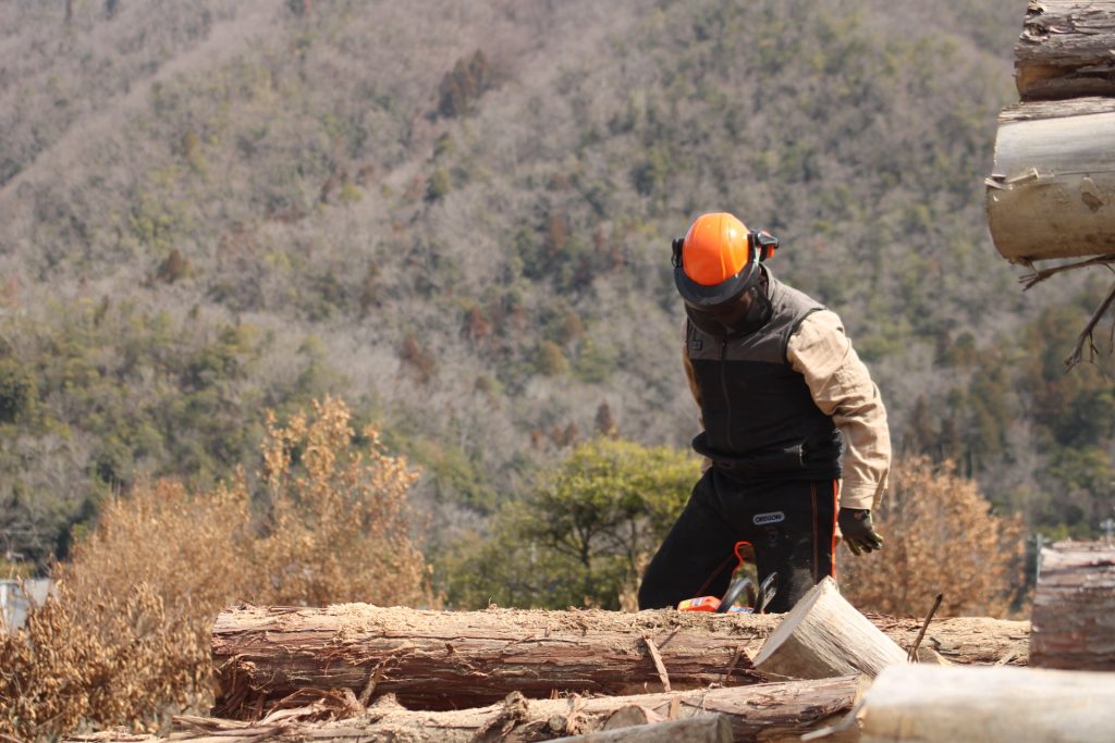 猪名川町北部:薪ストーブユーザーによる森林整備活動報告