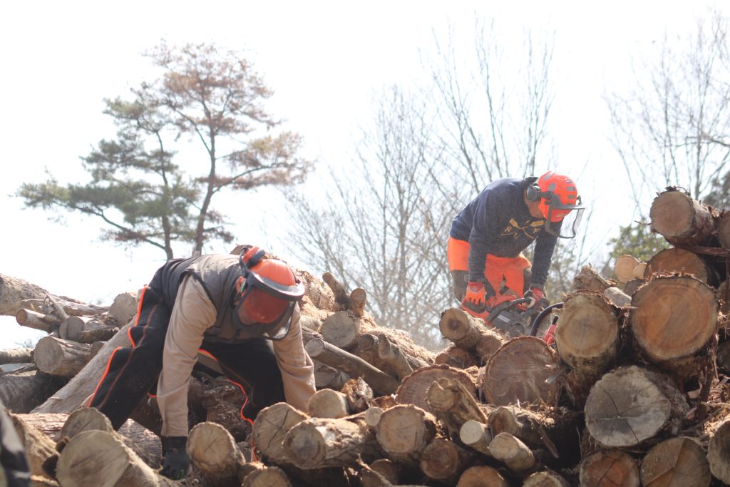 猪名川町北部:薪ストーブユーザーによる森林整備活動報告