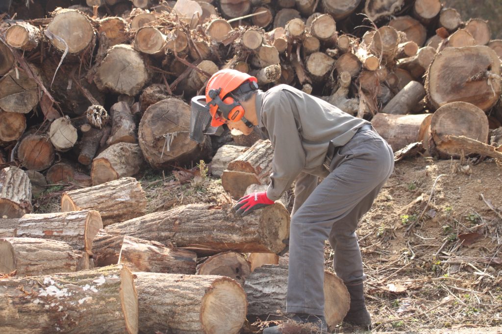 猪名川町北部:薪ストーブユーザーによる森林整備活動報告