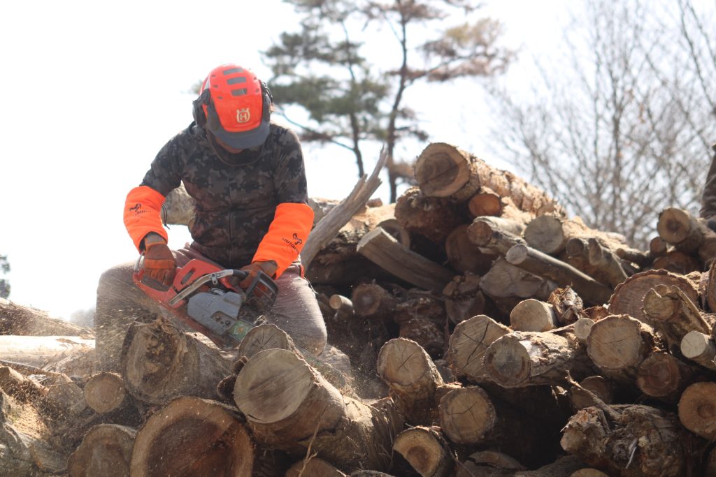 猪名川町北部:薪ストーブユーザーによる森林整備活動報告