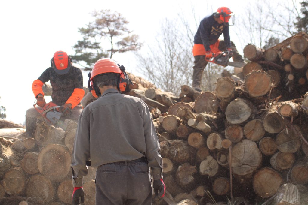 猪名川町北部:薪ストーブユーザーによる森林整備活動報告