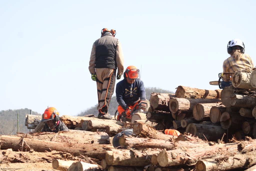 猪名川町北部:薪ストーブユーザーによる森林整備活動報告