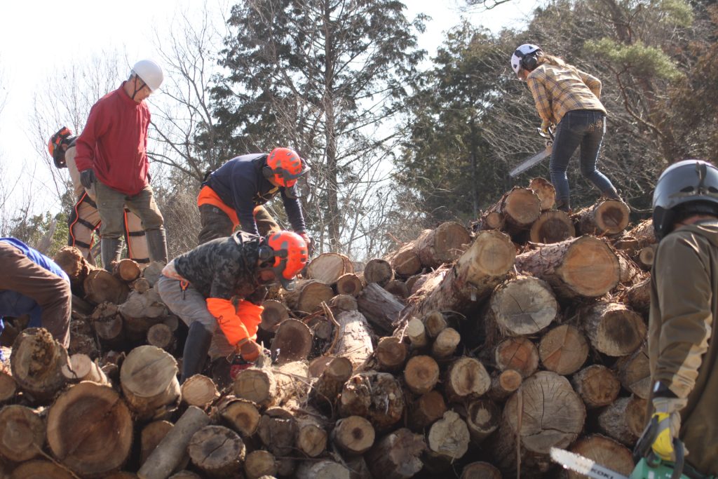 猪名川町：薪ストーブユーザーによる森林整備作業風景