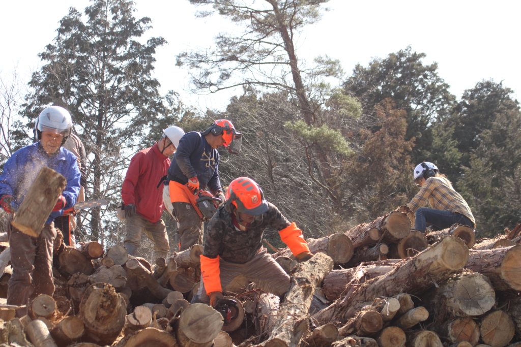 猪名川町：薪ストーブユーザーによる森林整備作業風景