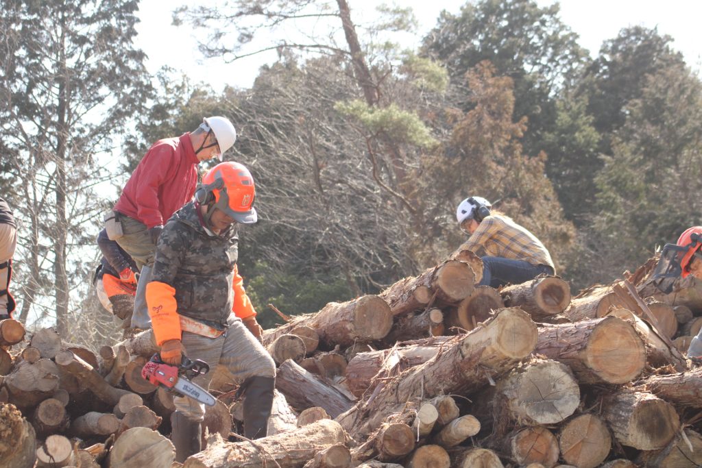 猪名川町：薪ストーブユーザーによる森林整備作業風景