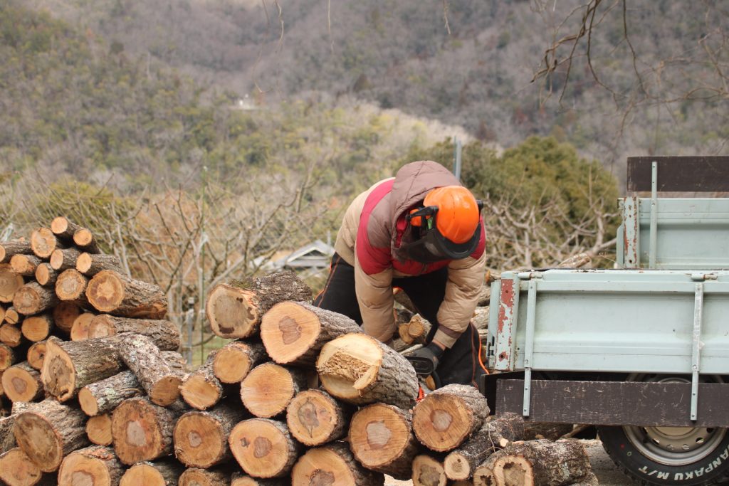 猪名川町：薪ストーブユーザーによる森林整備作業風景