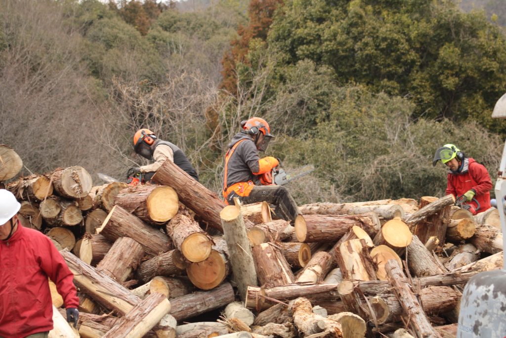 猪名川町：薪ストーブユーザーによる森林整備作業風景