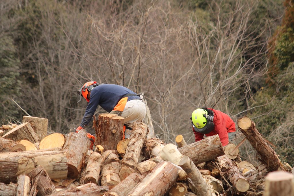 猪名川町:NPO法人山存の活動画像