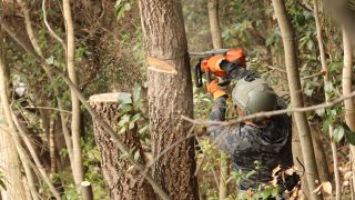 2026/03/22 猪名川町 森林整備レポート