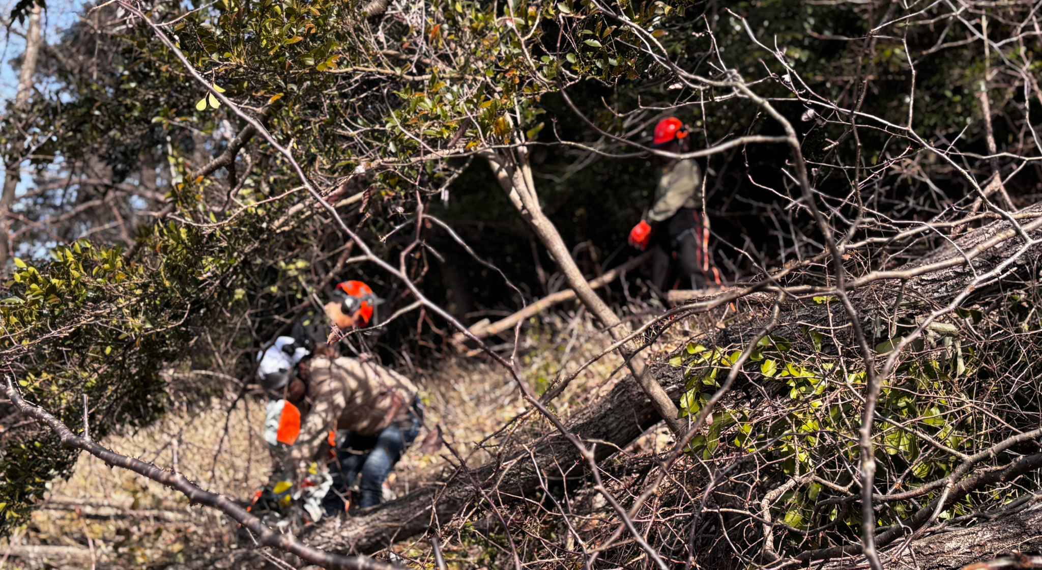 猪名川町：NPO法人山存の手仕事