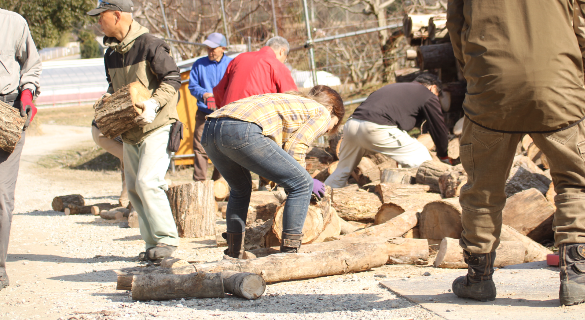 猪名川町：森林整備作業（薪の分配）